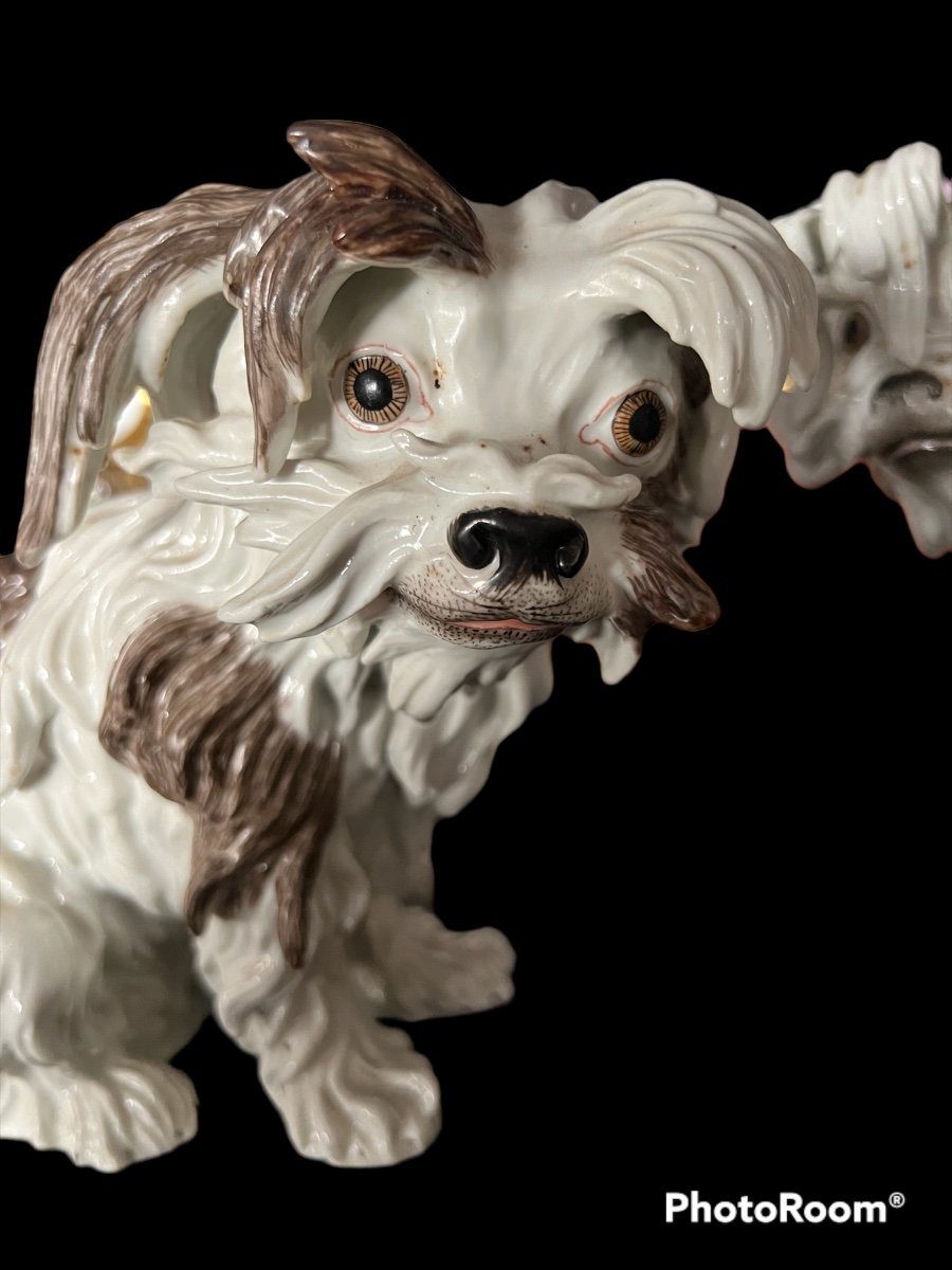Paire De Chiens en Porcelaine de Meissen-photo-4