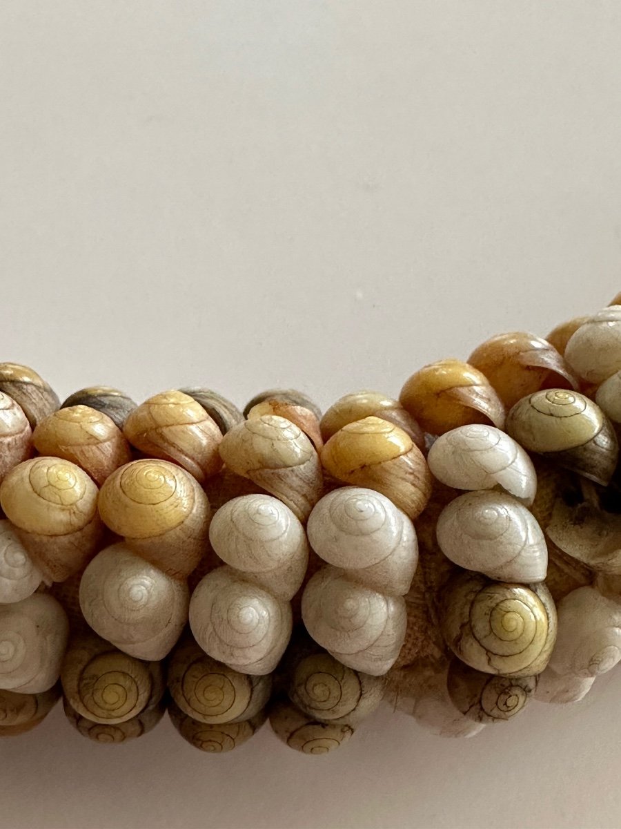Couronne en coquillages, 'ei Taomi Pare, îles de la Société, Tahiti, Océanie -photo-2
