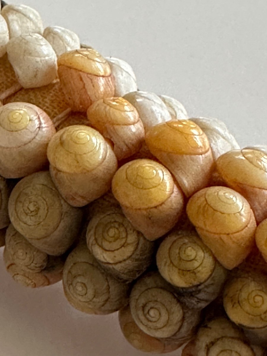 Couronne en coquillages, 'ei Taomi Pare, îles de la Société, Tahiti, Océanie -photo-4