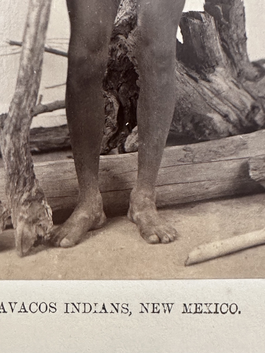 Elias A. Bonine, Photograph Of A Navajo Indian, Albumen Print, 1870 -photo-2