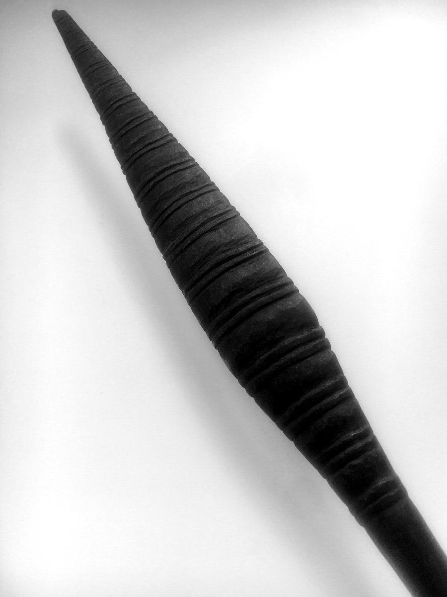 Kanak War Spear, New Caledonia -photo-1