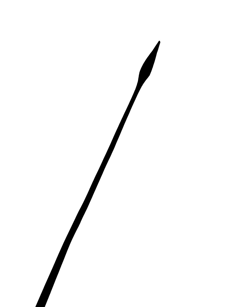 Kanak War Spear, New Caledonia 