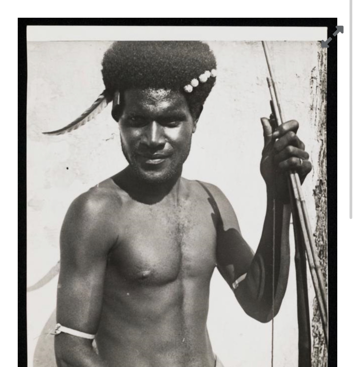 New Hebrides War Bows, Oceania. 19th Century -photo-2