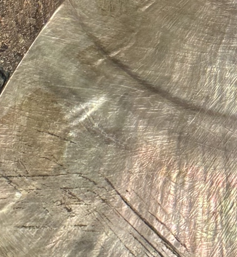 Spatule en nacre, îles Salomon -photo-1