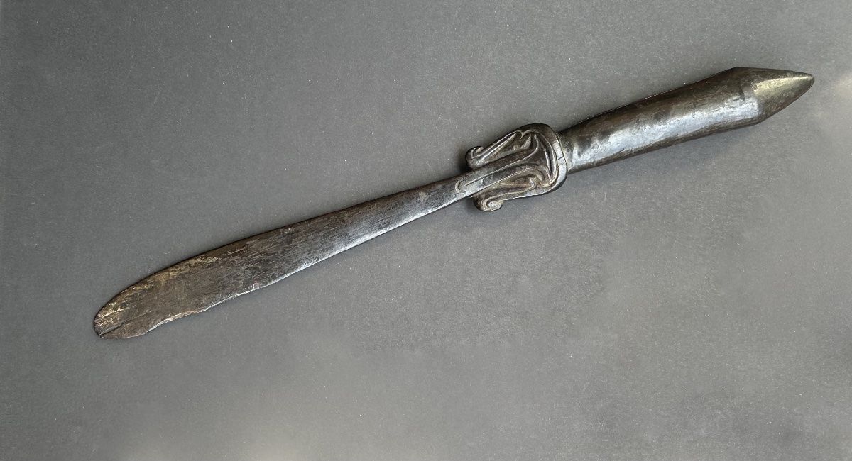 Lime Spatula, Massim Area, Papua New Guinea -photo-2