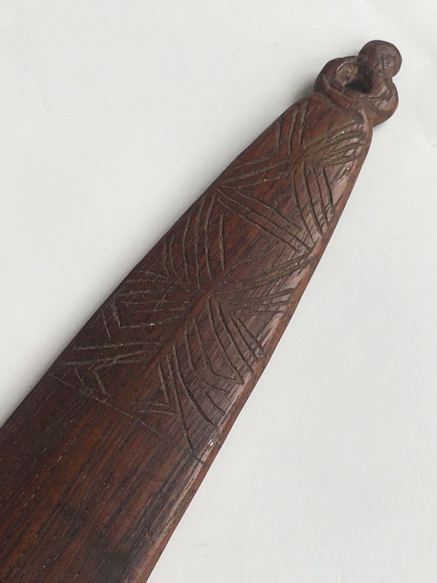 Rhombe de Papouasie-Nouvelle-Guinée. Océanie