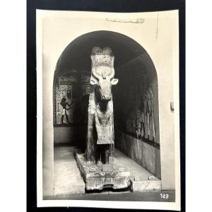 Collection de photographies du Musée du Caire par Lehnert & Landrock, Égypte 