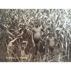 Photographie par B. W. Caney, enfants Zulu, 19e siècle, Afrique du Sud. 