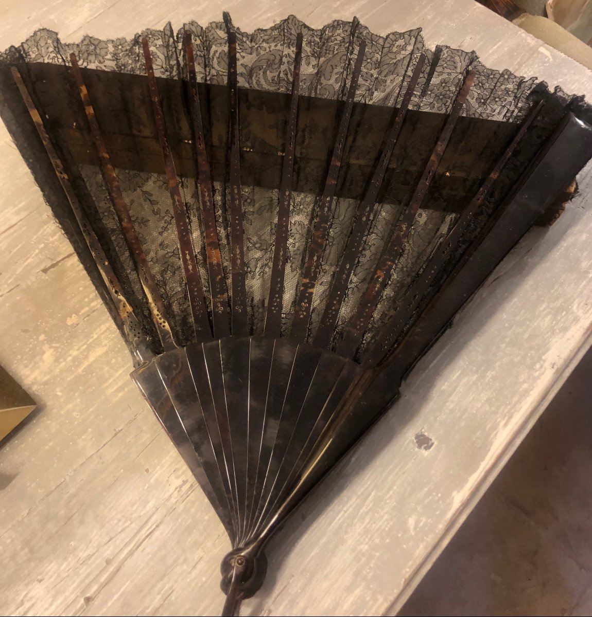 Fan -photo-2