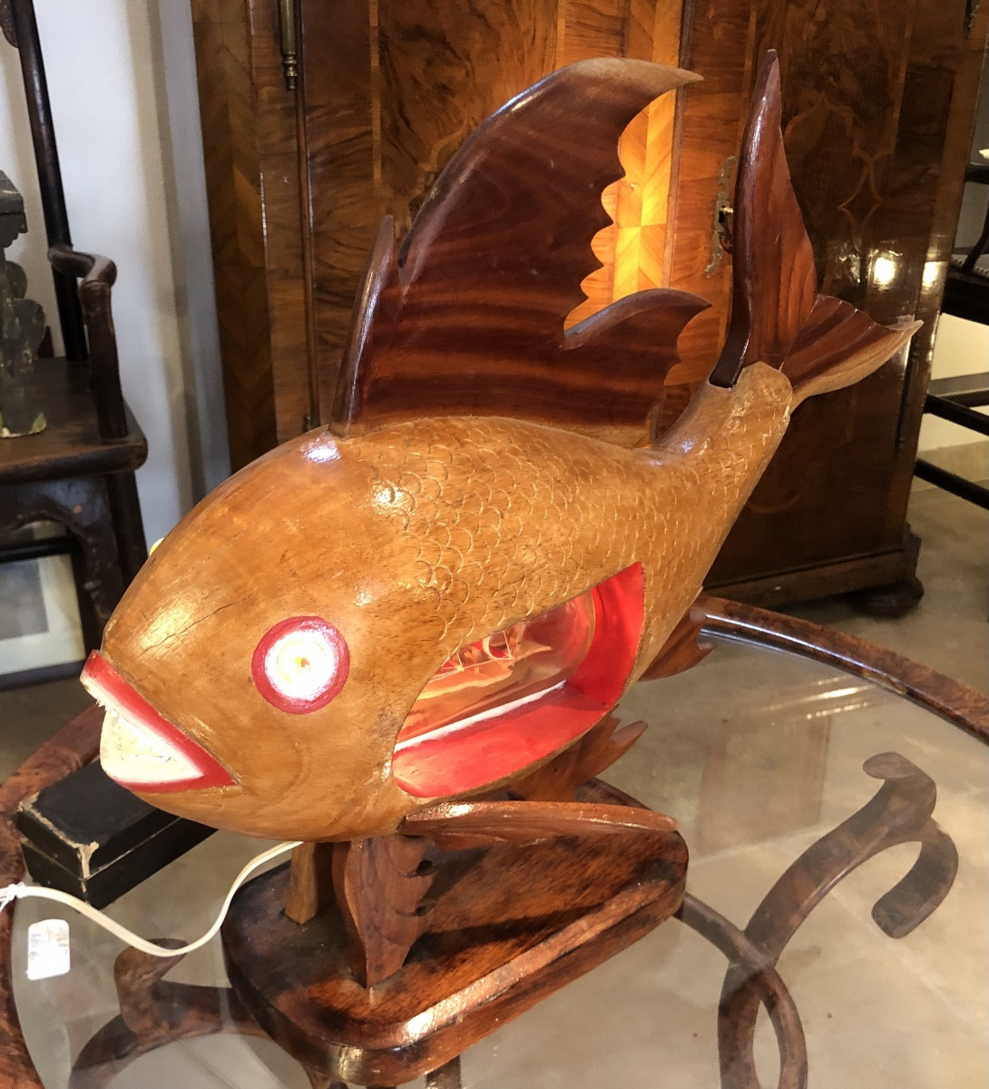 Poisson lumineux -photo-3