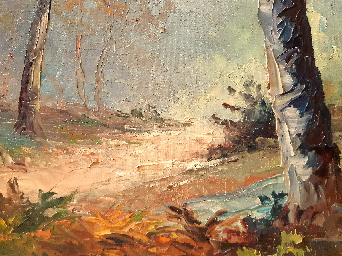 Undergrowth Stream French Provencal School Oil On Canvas André Abougit (xxth)-photo-1