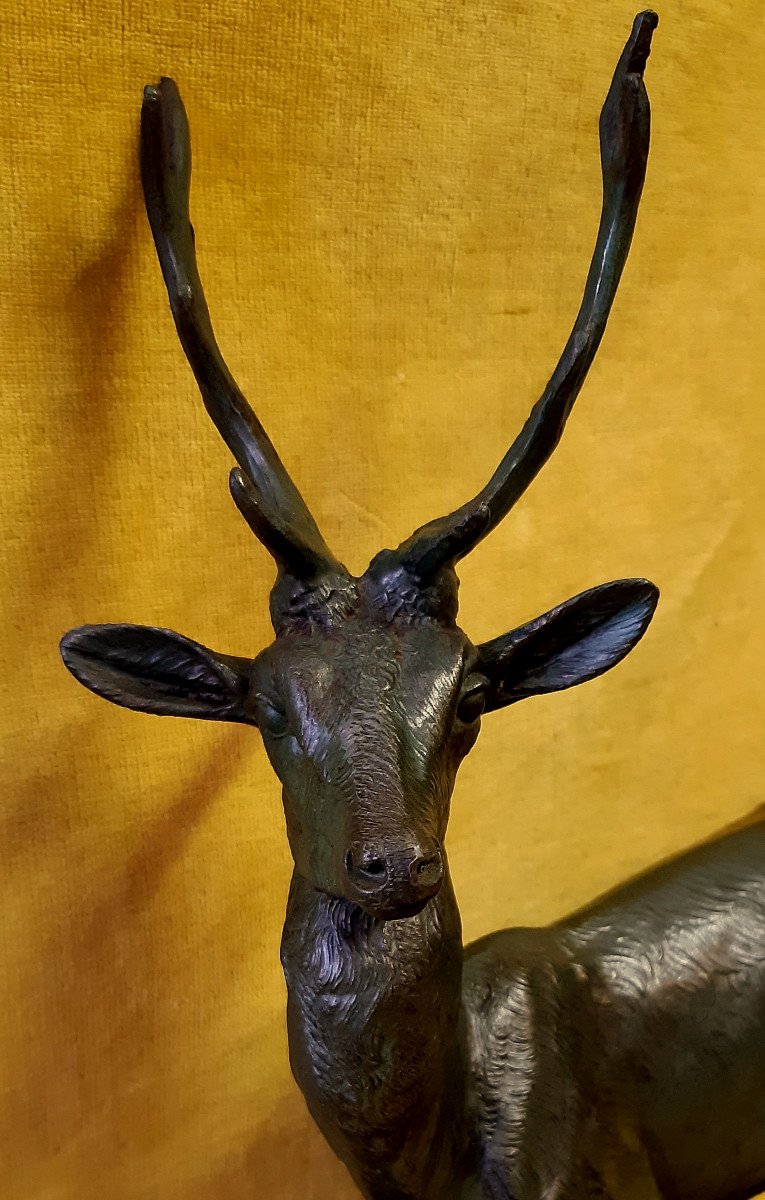  Sculpture Animalière Naturaliste Cerf En Alerte Avec Ses Bois Sur Marbre Année 50-photo-4