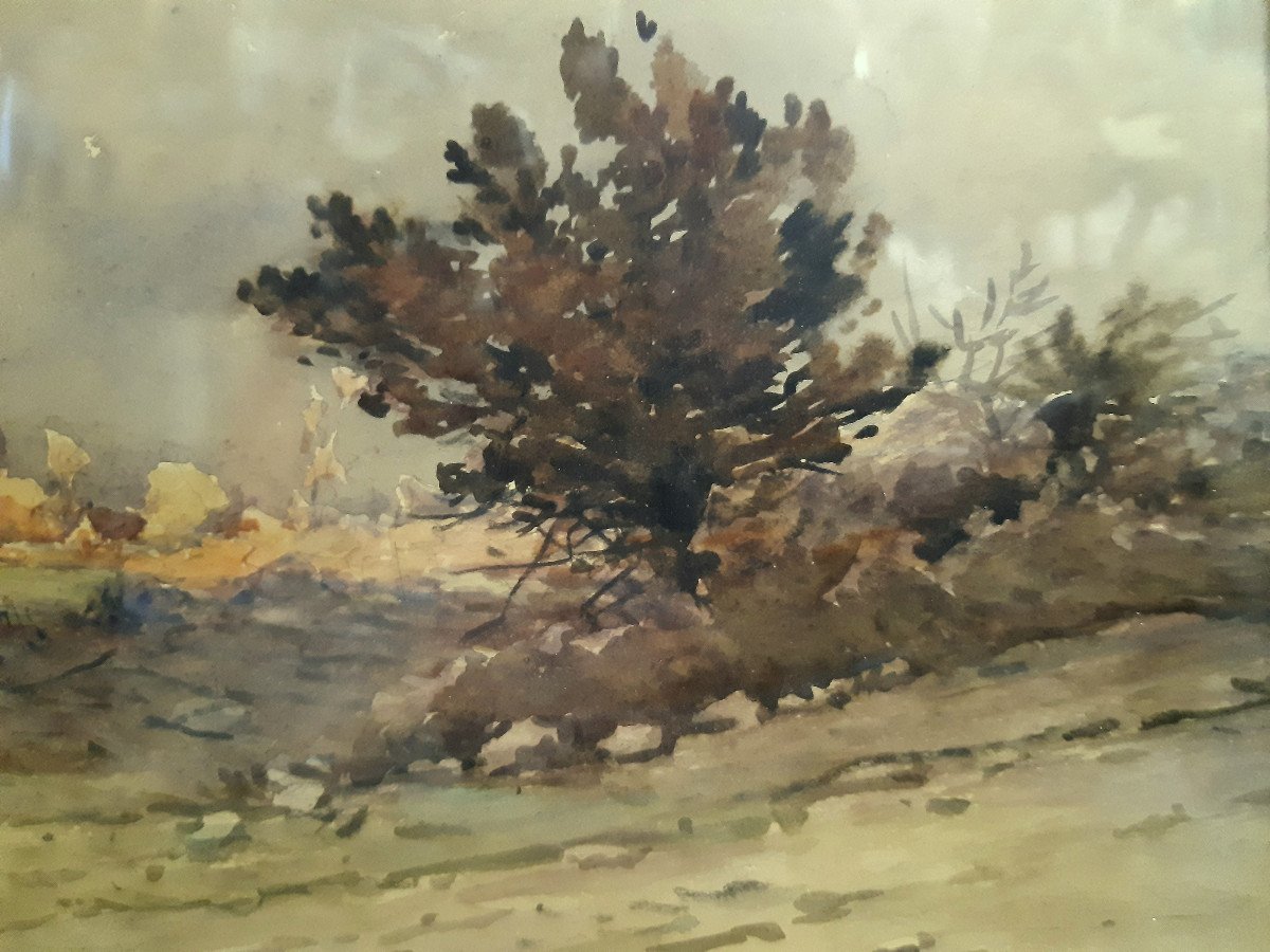 Watercolor Country Landscape Around 1890 By Ernest Designolle (1850-1941)-photo-4