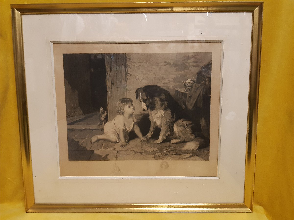 English Engraving Published By B.brooks In 1876 Child Dog Cat Observing Himself-photo-2