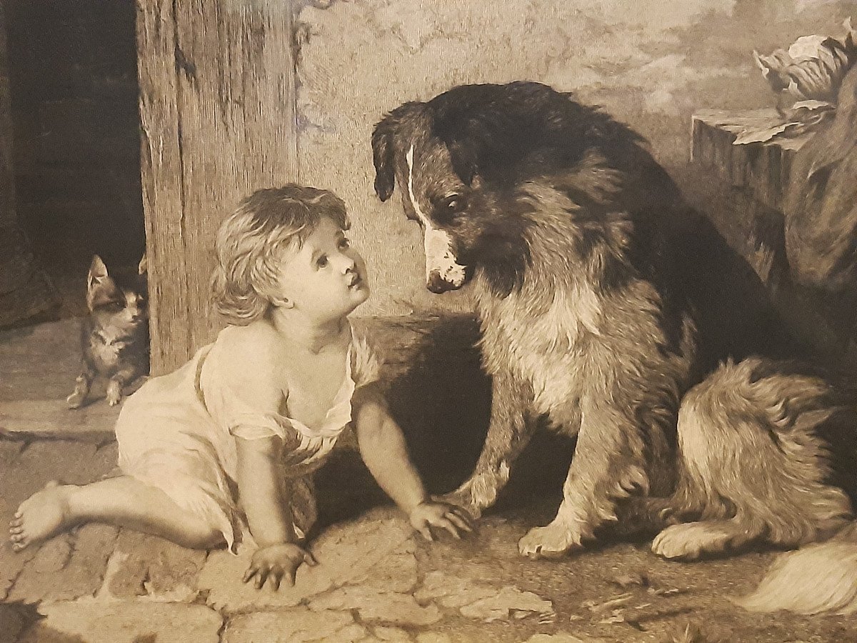 Gravure Anglaise publié par B.BROOKS en 1876 Enfant Chien Chat s'observant-photo-3