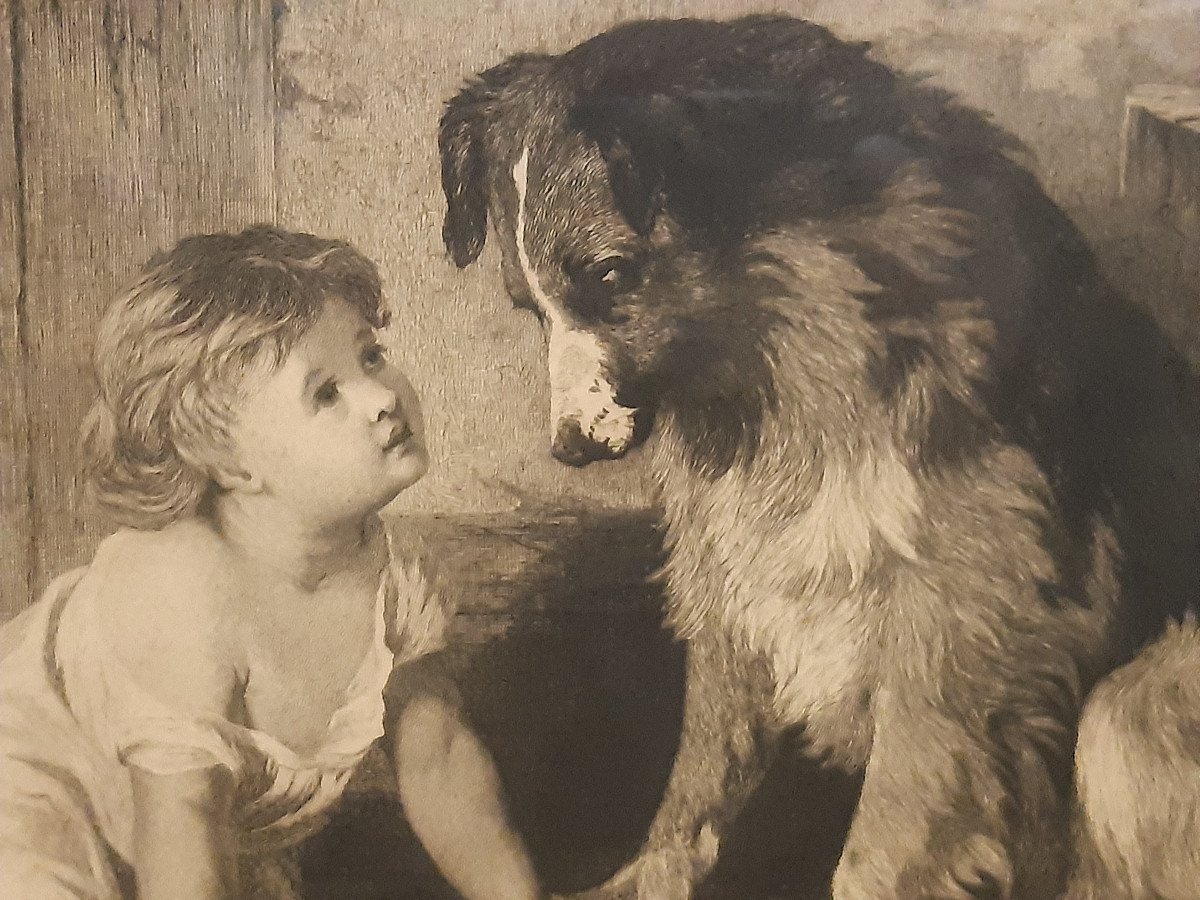 English Engraving Published By B.brooks In 1876 Child Dog Cat Observing Himself-photo-4
