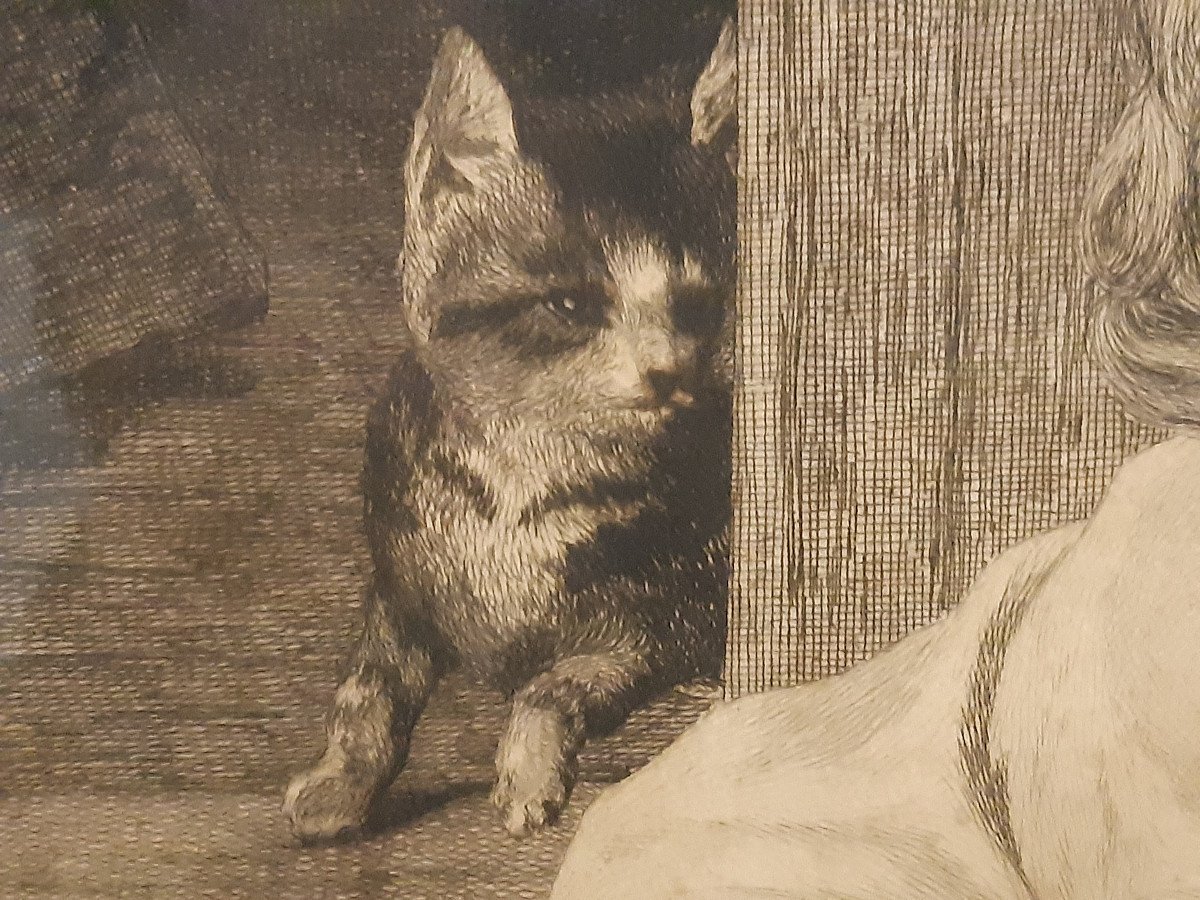 Gravure Anglaise publié par B.BROOKS en 1876 Enfant Chien Chat s'observant-photo-3