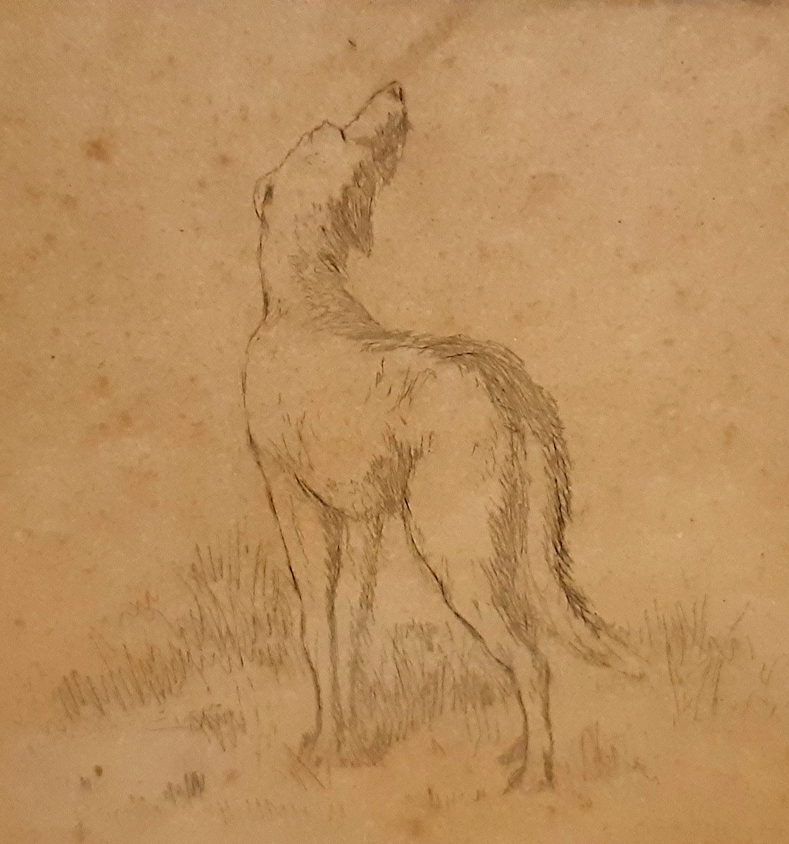 Gravure Anglaise publié par B.BROOKS en 1876 Enfant Chien Chat s'observant-photo-5