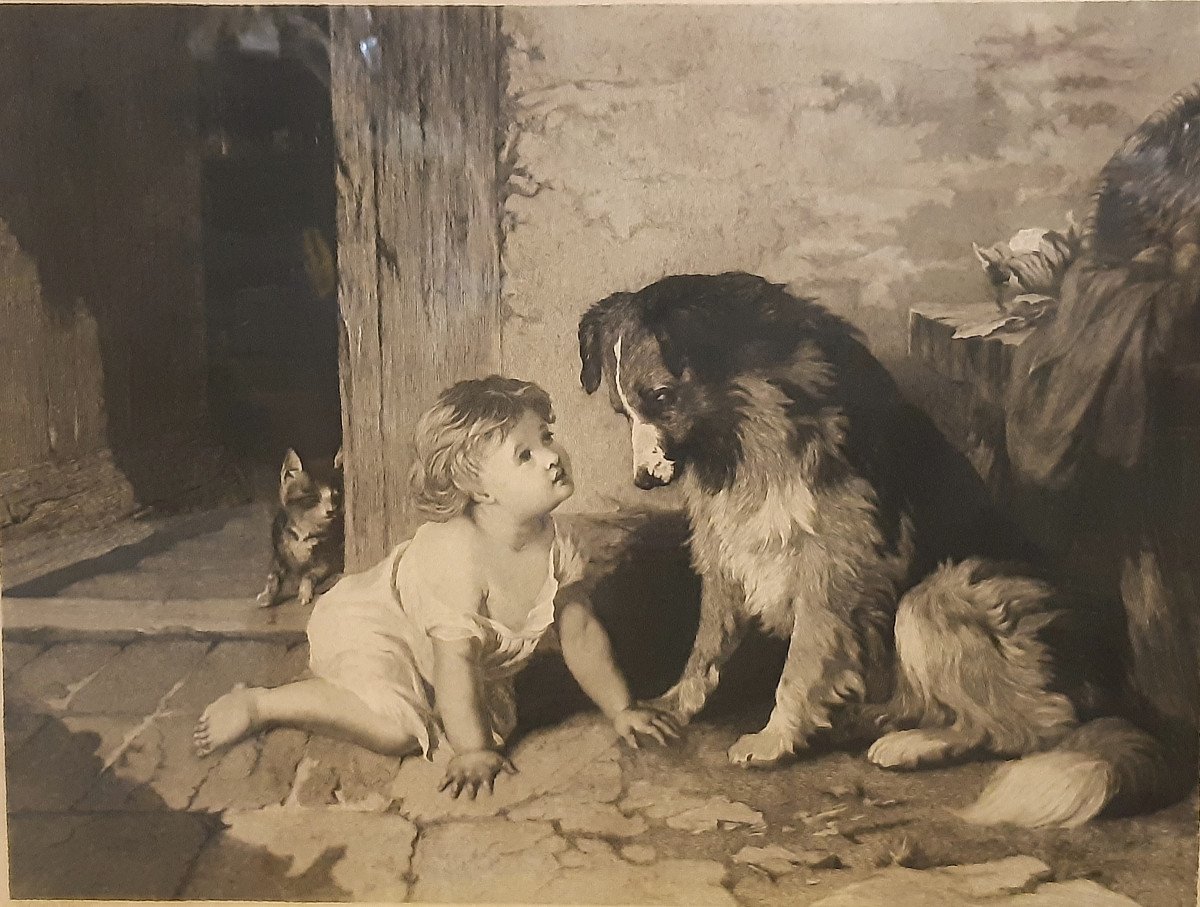 English Engraving Published By B.brooks In 1876 Child Dog Cat Observing Himself