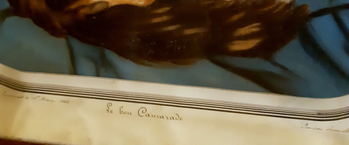 Grand Pastel Encadré 1869  « Le Bon Camarade » Enfant Avec Un Gros Chat Dans Les Bras, 19éme -photo-5
