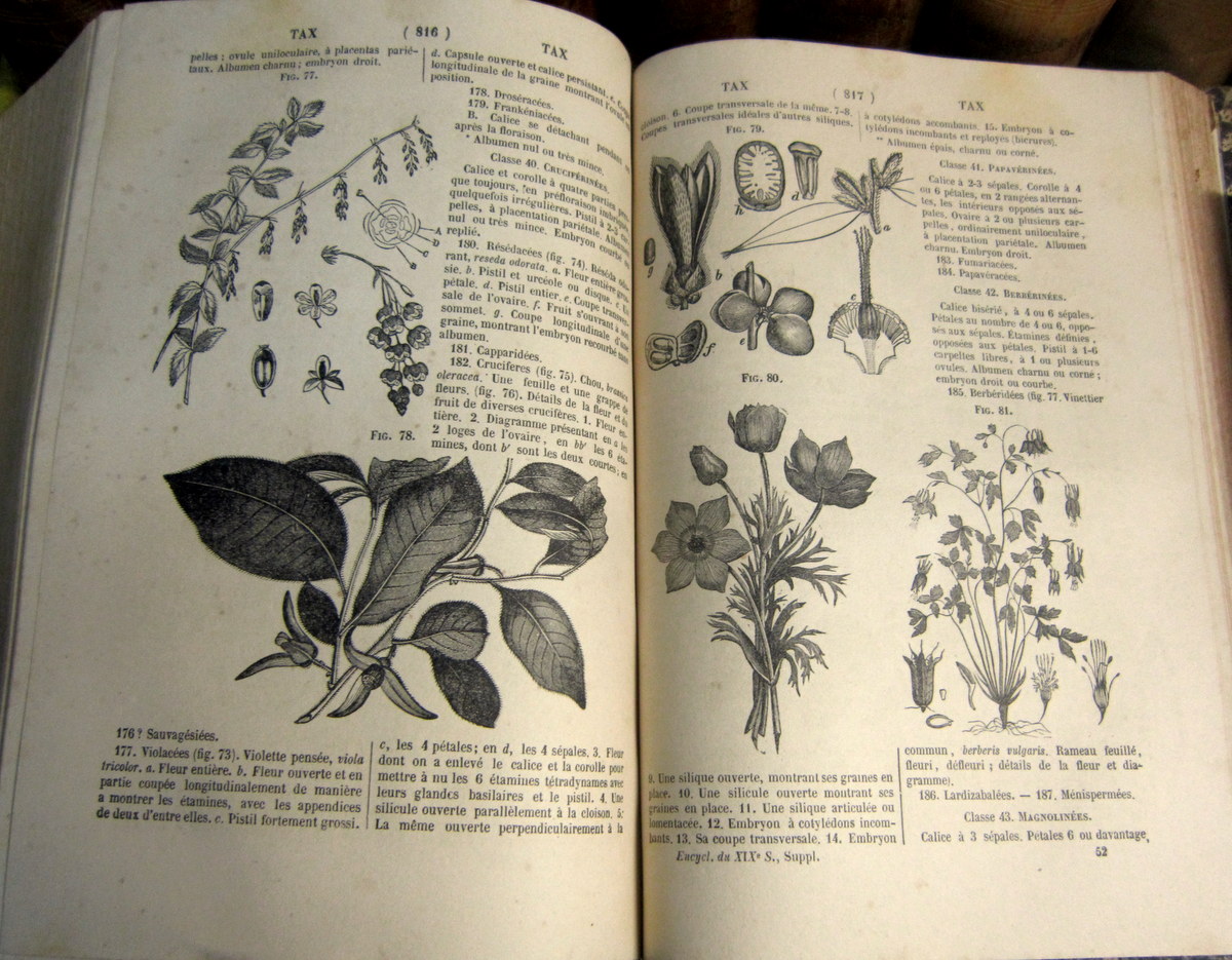 26 Volumes Of The Encyclopedia Of Sciences, Letters And Arts And Famous Men 1851-photo-3
