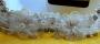 1229605-alb-655698afa39dd.jpg