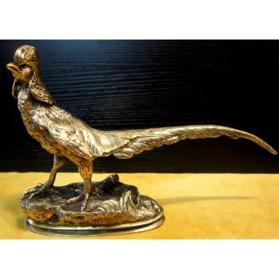 Faisan Coq De Bruyére Bronze Doré Naturaliste  19éme St H.E.A.Trodoux