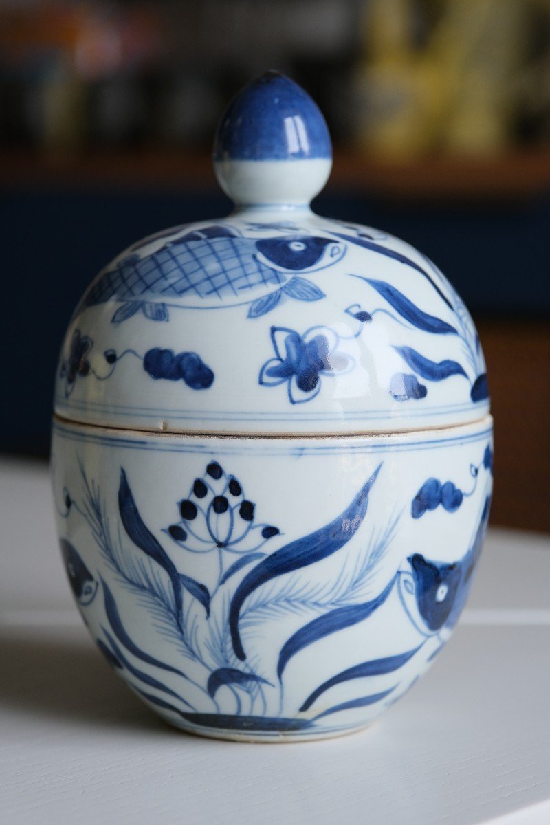 Potiche Chinoise Porcelaine Bleu Et Blanc XIXe Siècle-photo-2