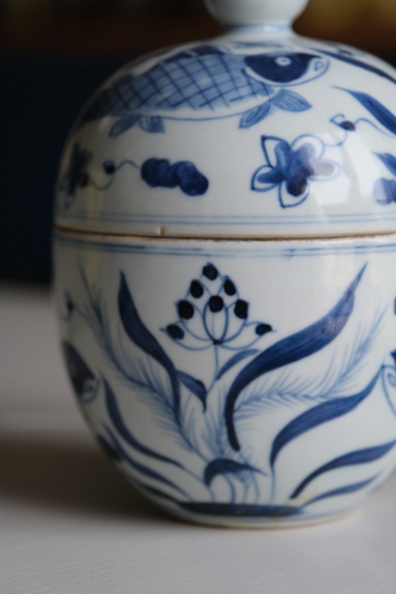 Potiche Chinoise Porcelaine Bleu Et Blanc XIXe Siècle-photo-2