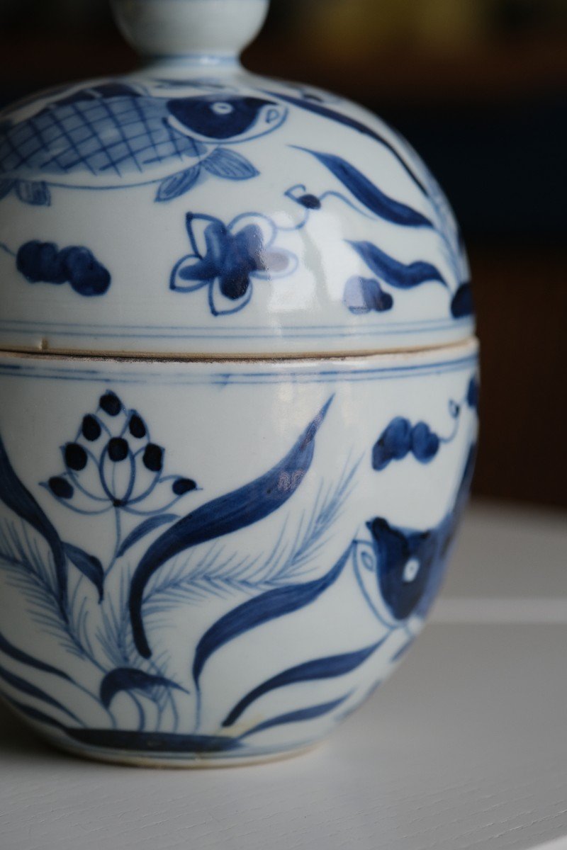 Potiche Chinoise Porcelaine Bleu Et Blanc XIXe Siècle-photo-3