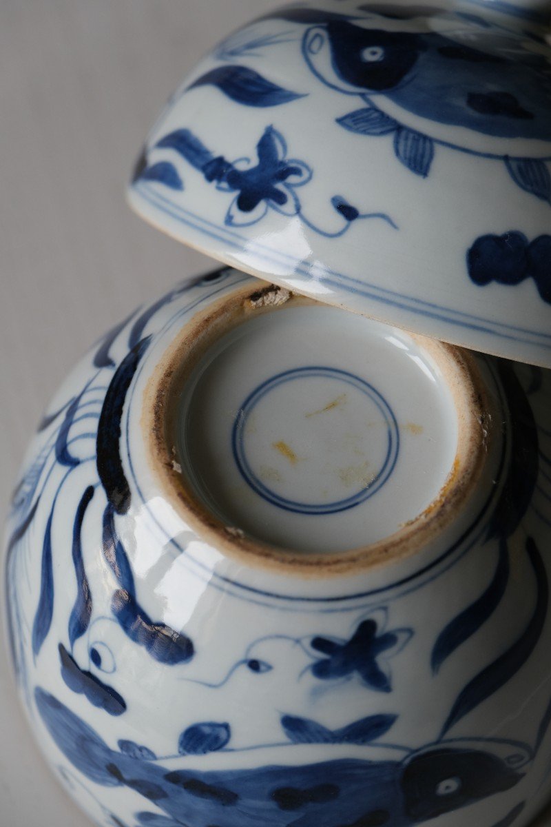 Potiche Chinoise Porcelaine Bleu Et Blanc XIXe Siècle-photo-5