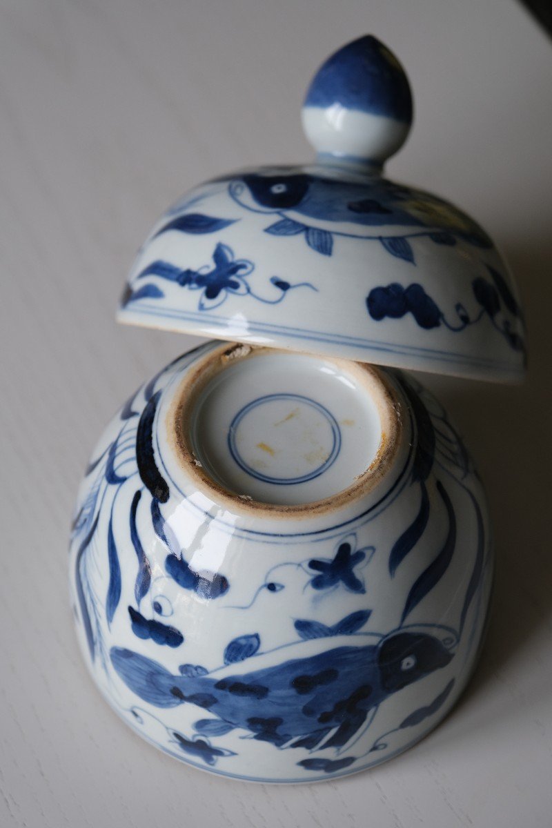 Potiche Chinoise Porcelaine Bleu Et Blanc XIXe Siècle-photo-6