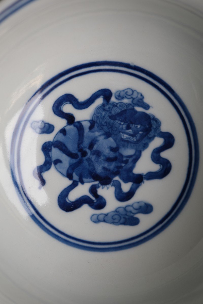 Kangxi Collection Bowl Chinese Porcelain 19th Century-photo-3