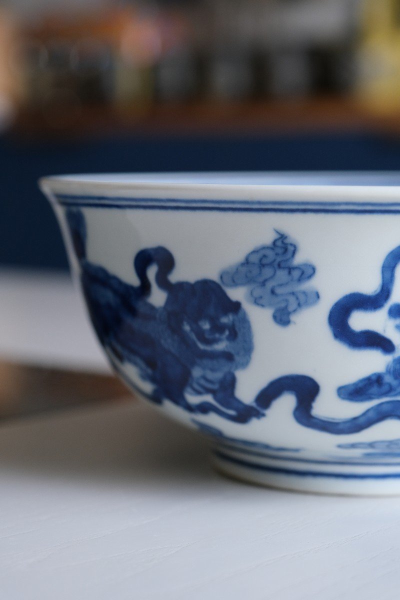 Kangxi Collection Bowl Chinese Porcelain 19th Century-photo-5