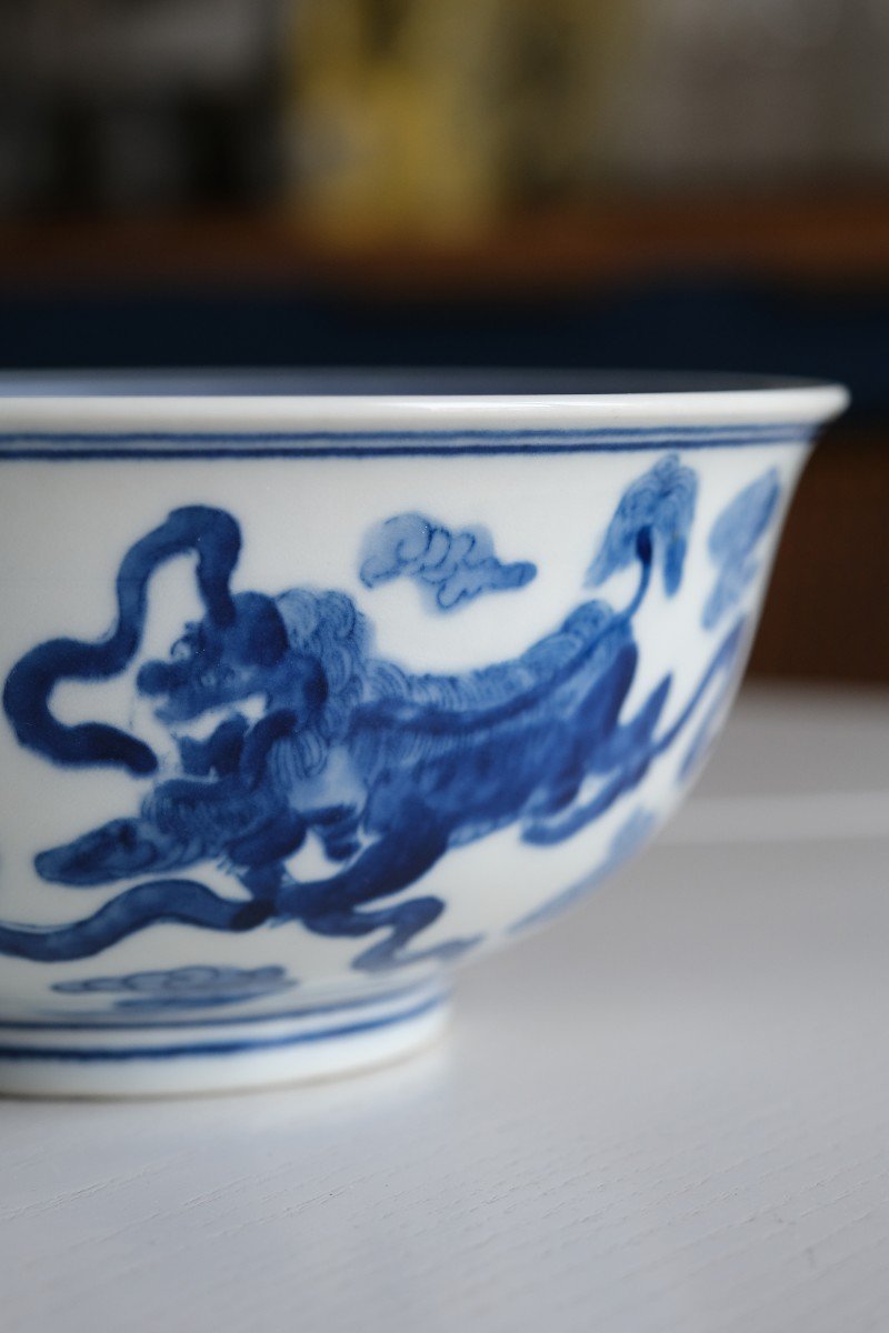 Kangxi Collection Bowl Chinese Porcelain 19th Century-photo-6