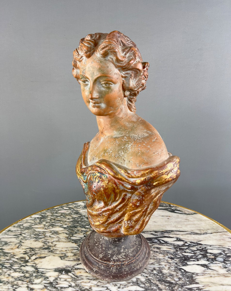 Terracotta Female Bust, Italy, 20th Century