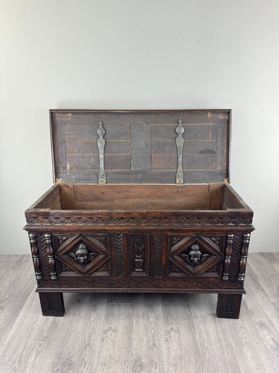 Antique Neo-renaissance Chest, 19th Century -photo-2