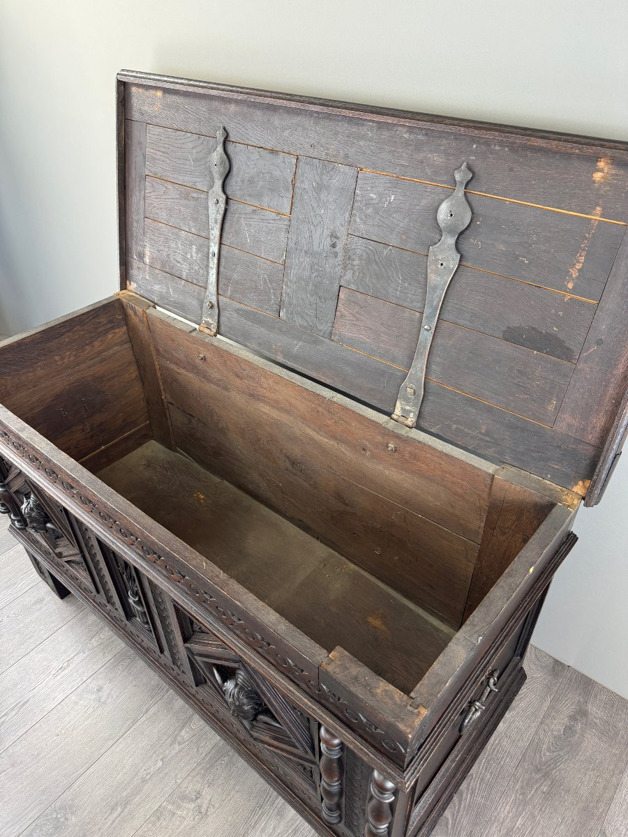 Antique Neo-renaissance Chest, 19th Century -photo-4