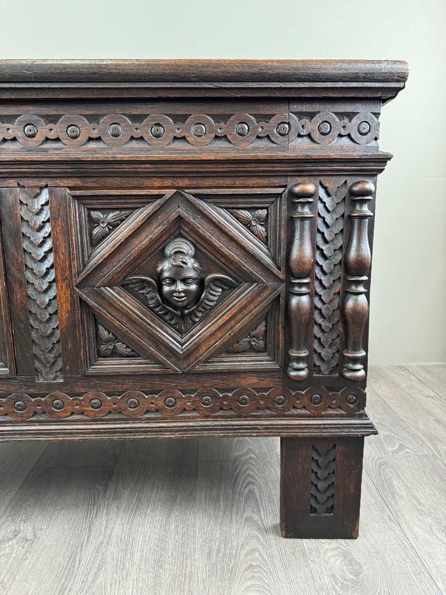 Antique Neo-renaissance Chest, 19th Century -photo-8