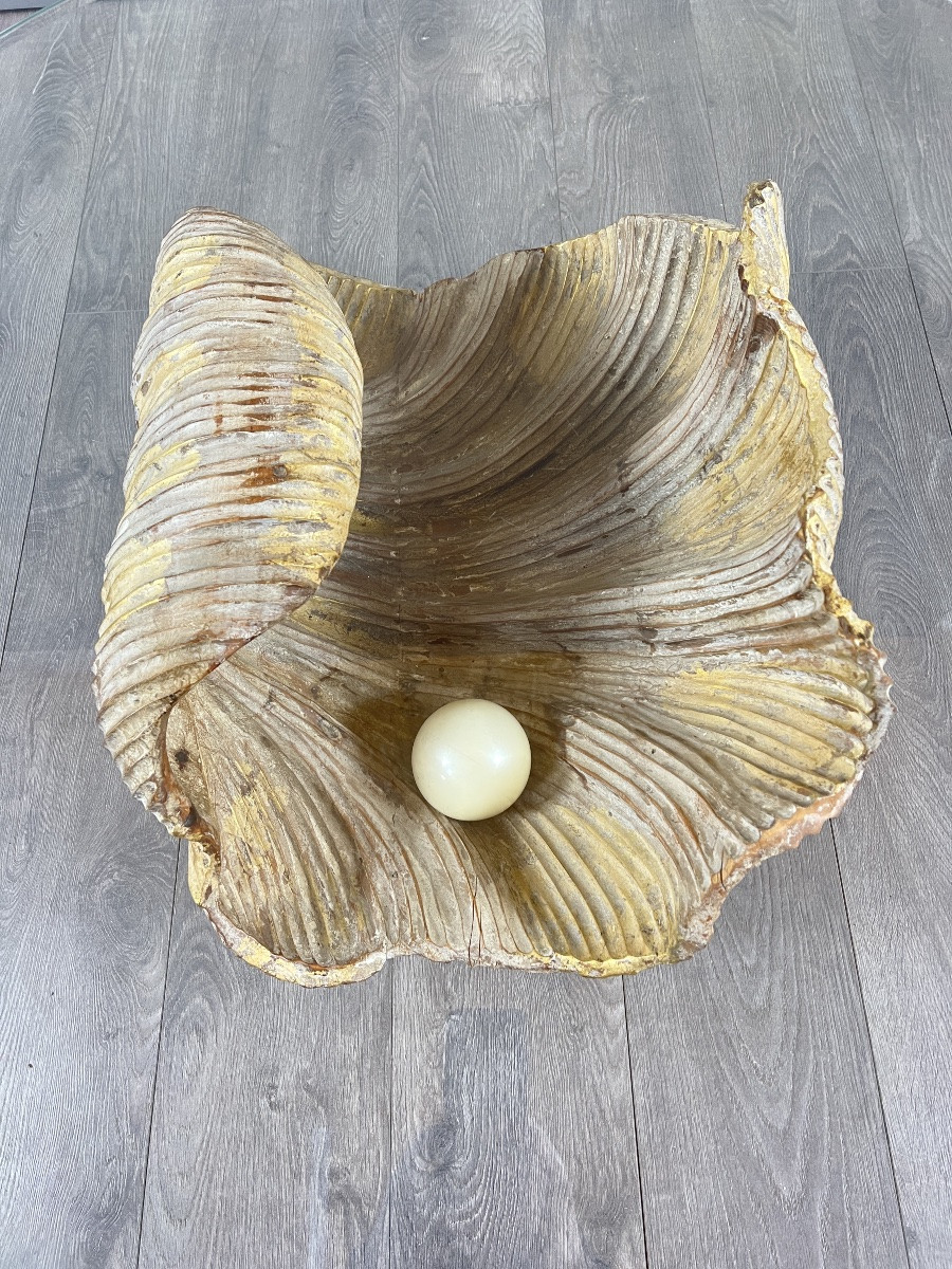 Table basse en forme de coquillage en bois sculpté, XXe siècle-photo-4