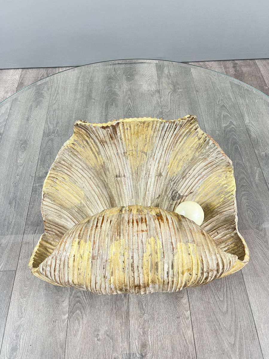 Table basse en forme de coquillage en bois sculpté, XXe siècle-photo-7