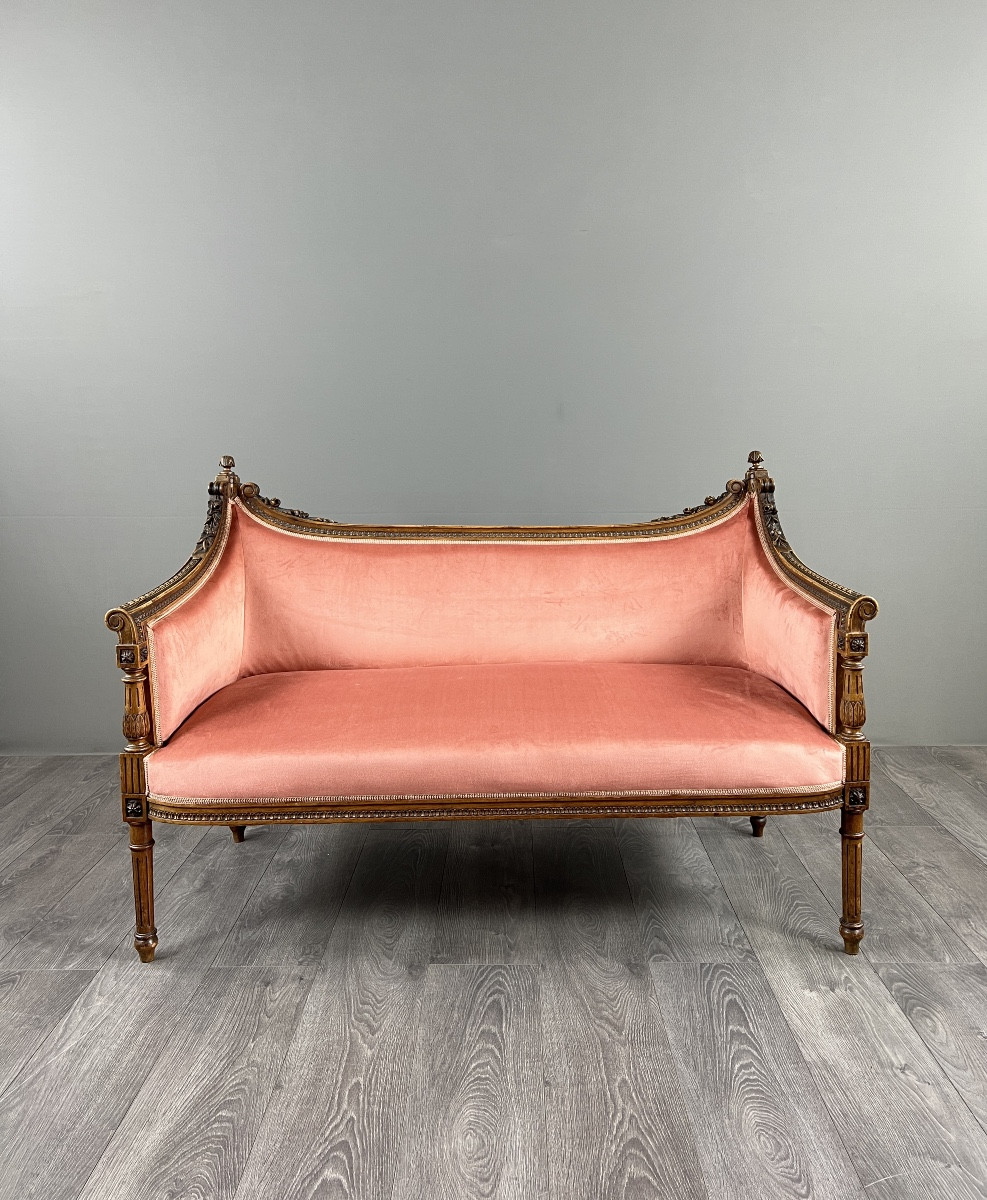 Louis XVI Style Sofa In Carved Wood And Velvet, 20th Century
