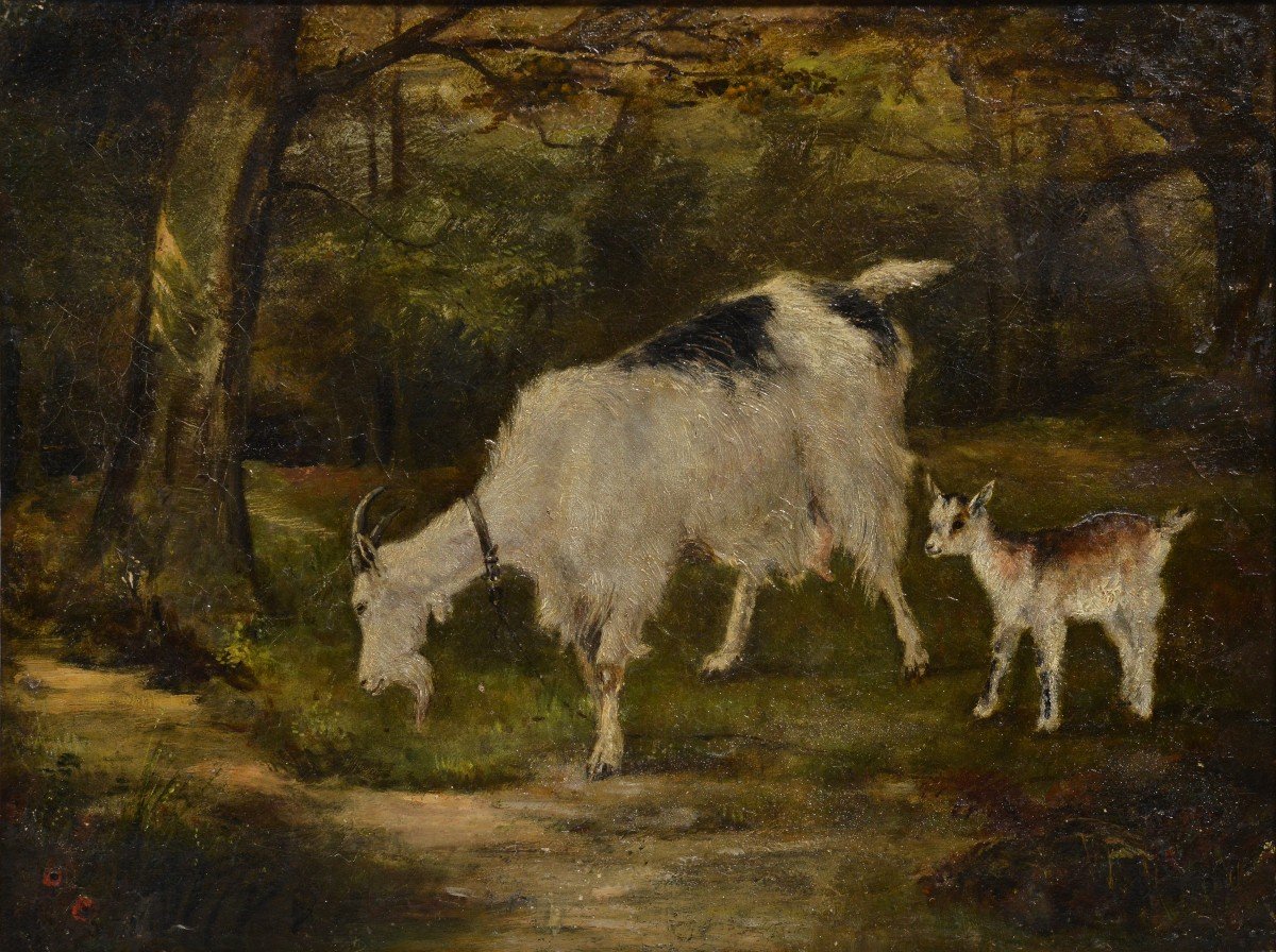Scène Animale Chèvre Avec Enfant Dans La Forêt Peinture à L’huile Du 19ème Siècle Non Signée En-photo-2