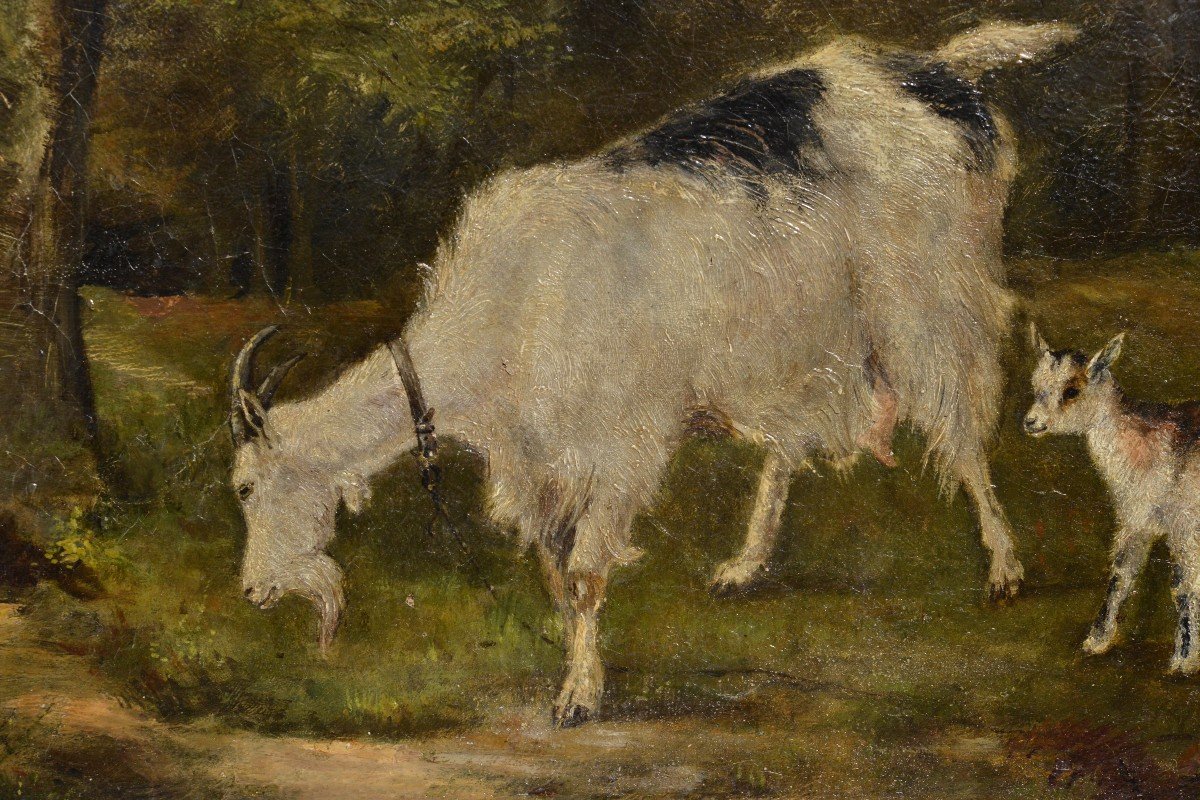 Scène Animale Chèvre Avec Enfant Dans La Forêt Peinture à L’huile Du 19ème Siècle Non Signée En-photo-3