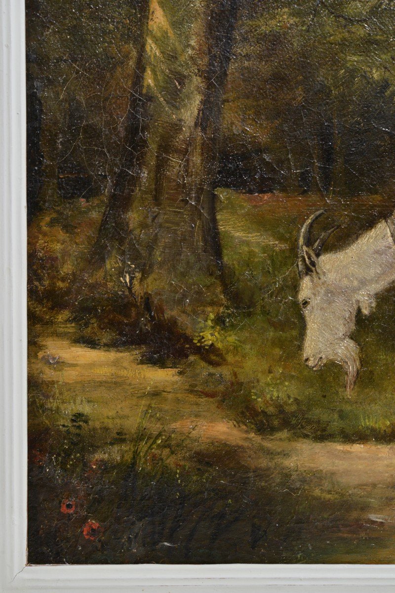 Scène Animale Chèvre Avec Enfant Dans La Forêt Peinture à L’huile Du 19ème Siècle Non Signée En-photo-4