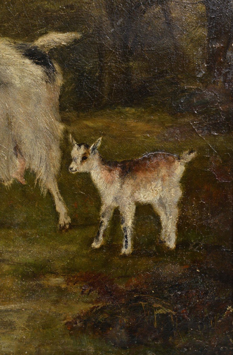 Scène Animale Chèvre Avec Enfant Dans La Forêt Peinture à L’huile Du 19ème Siècle Non Signée En-photo-1