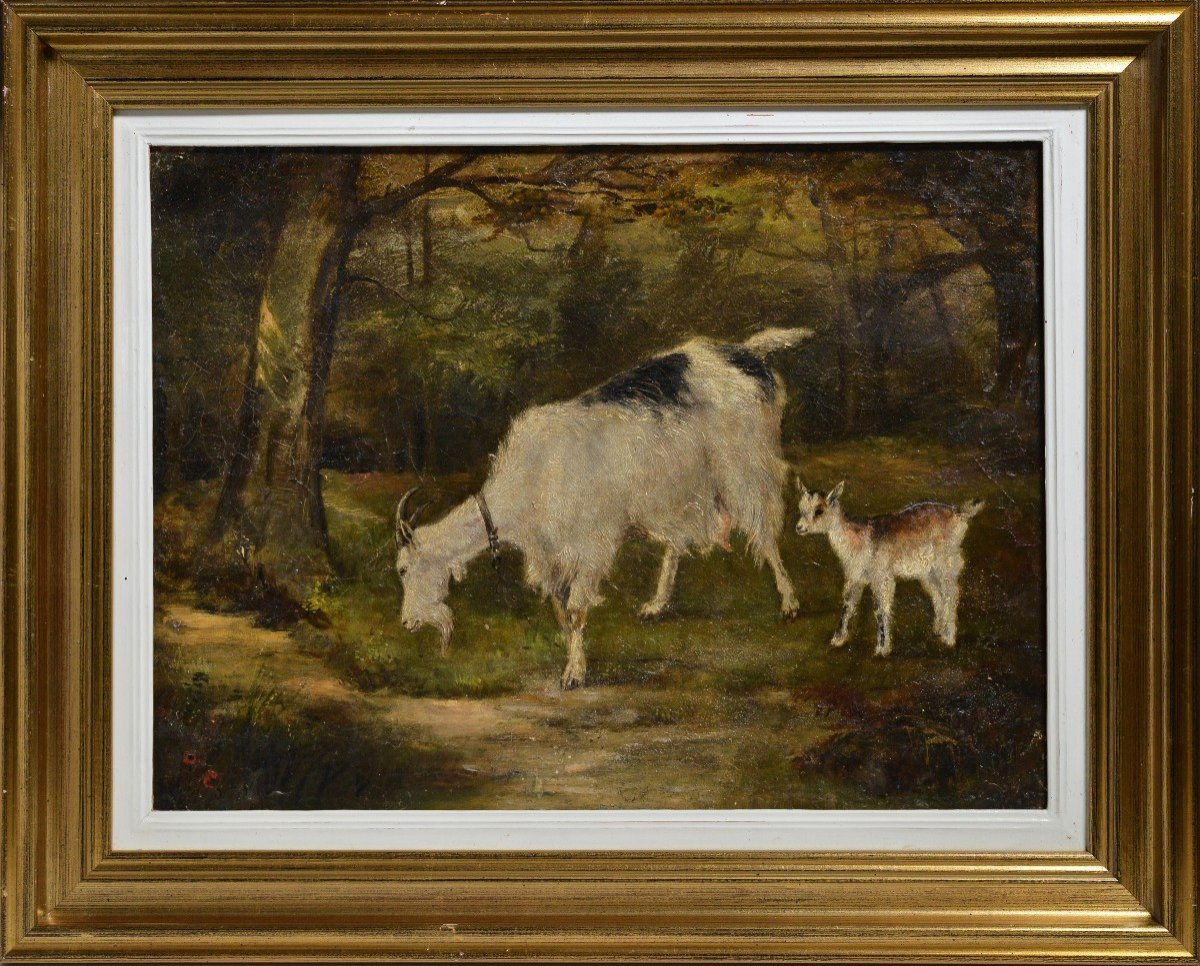 Scène Animale Chèvre Avec Enfant Dans La Forêt Peinture à L’huile Du 19ème Siècle Non Signée En