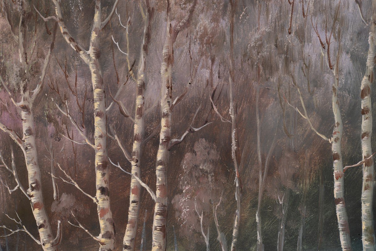 Coucher de soleil rose dans une forêt de bouleaux en hiver Paysage géant du début du XXe siècle-photo-4
