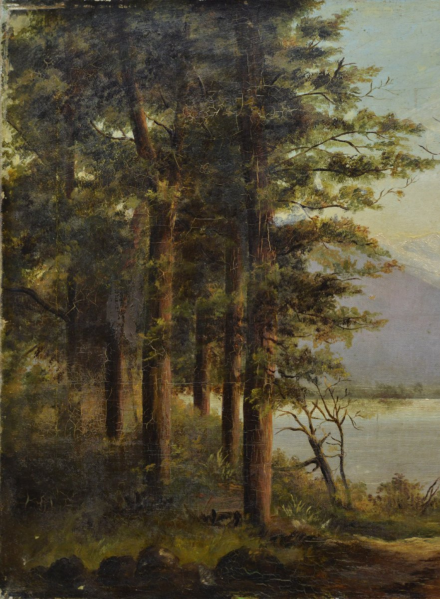 Paysage Lac Diamond Nouvelle Zelande Romantique Britannique Fin 19e Huile Toile-photo-3