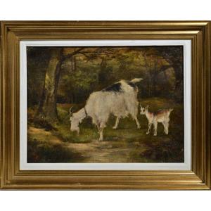 Animal Scene Goat With Kid In Forest 19th Century Oil Painting Unsigned Framed